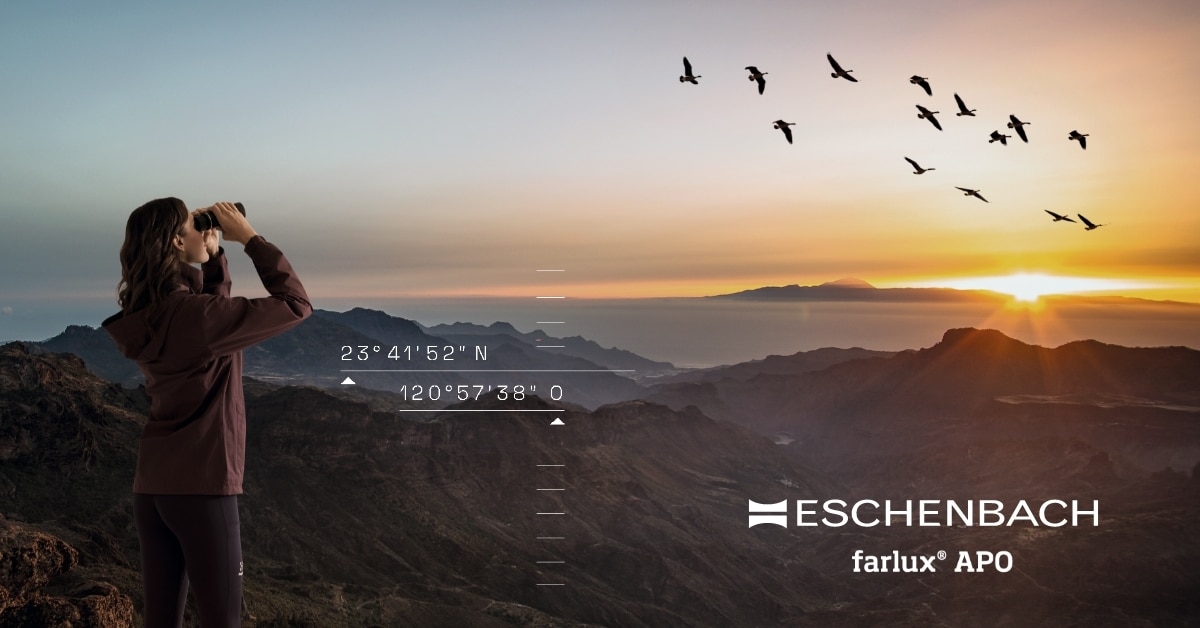 Digital Marketing Case Eschenbach Optik